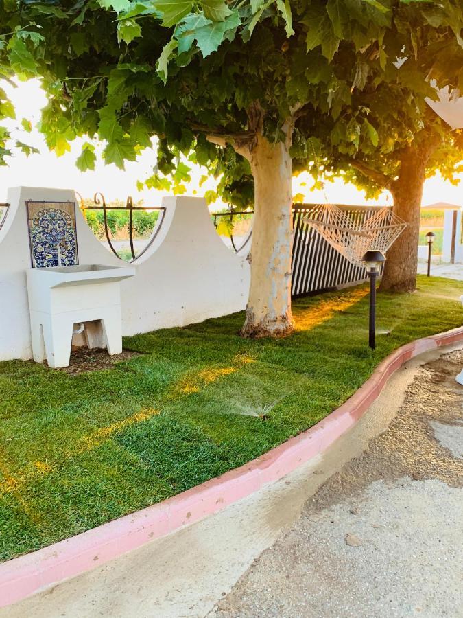 Terre Del Faro Appartement Scanzano Jonico Buitenkant foto
