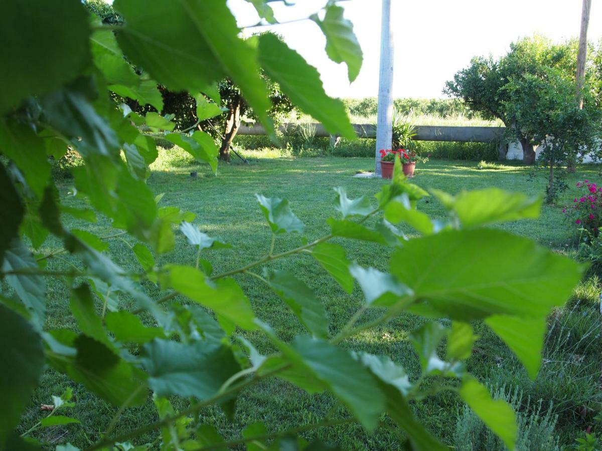 Terre Del Faro Appartement Scanzano Jonico Buitenkant foto